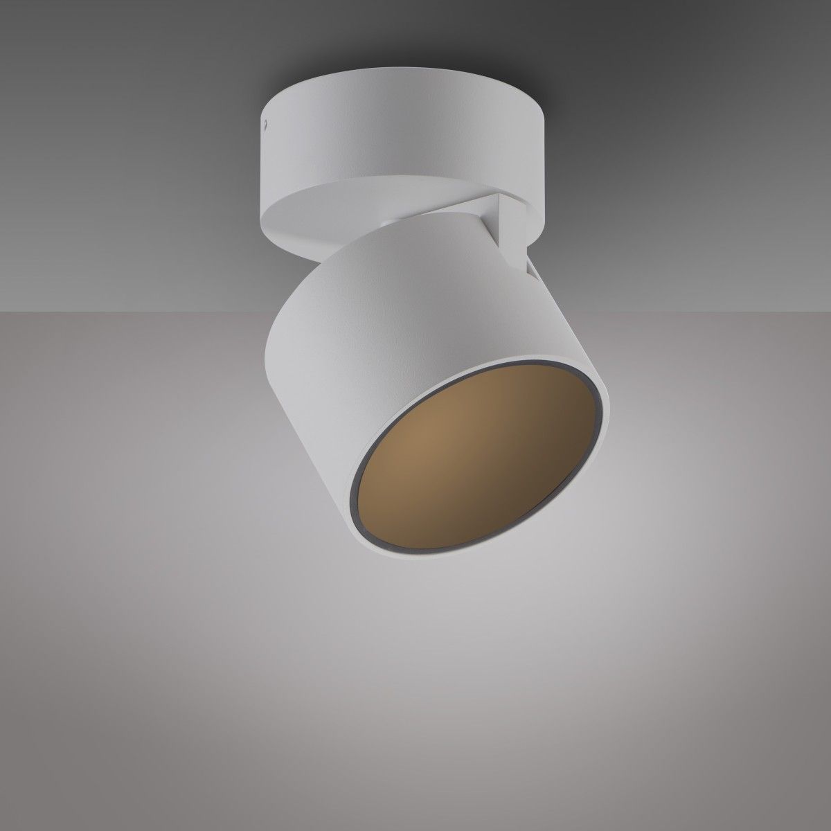 Lampa sufitowa DIMM PURE CUP 6226-16