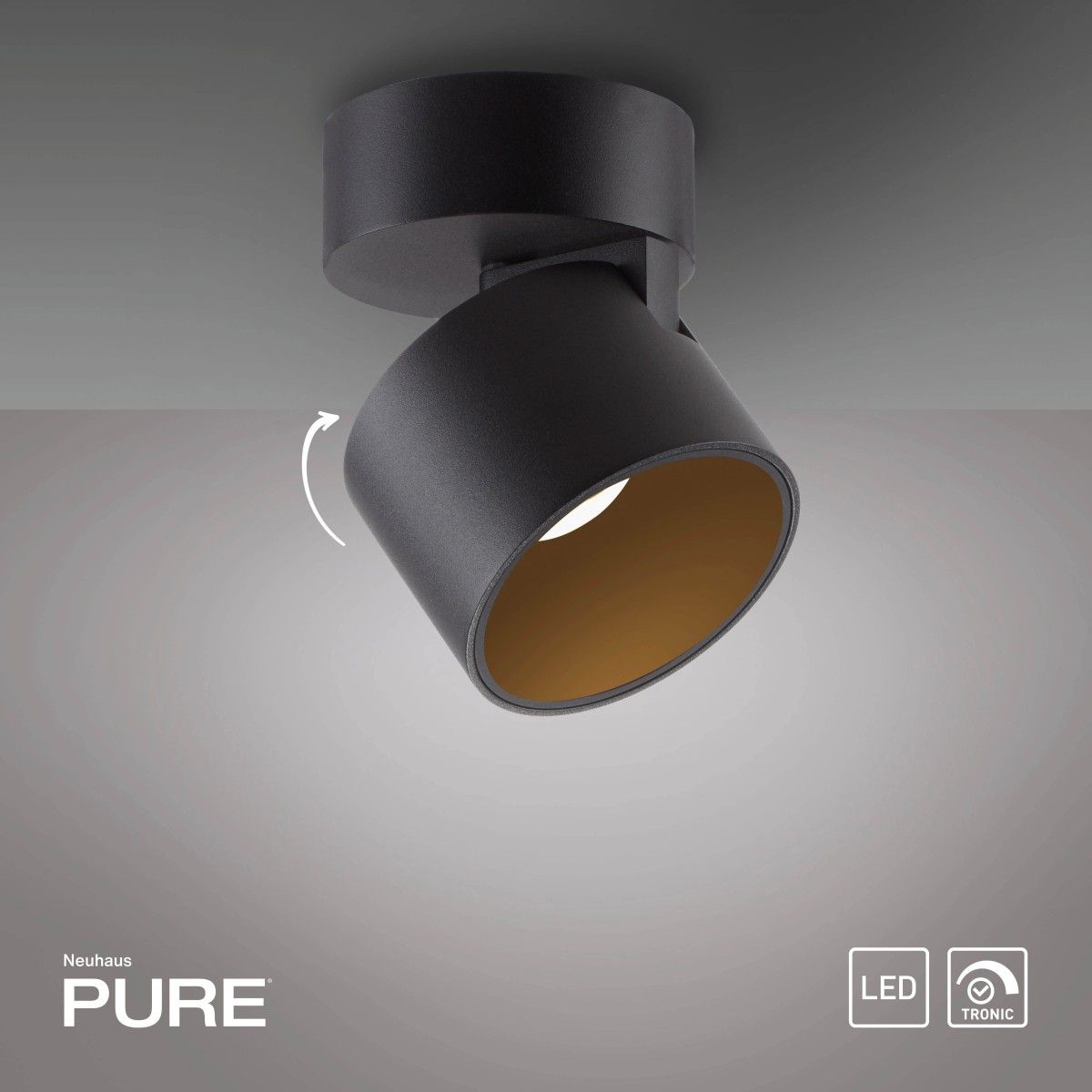 Lampa sufitowa DIMM PURE CUP 6226-18