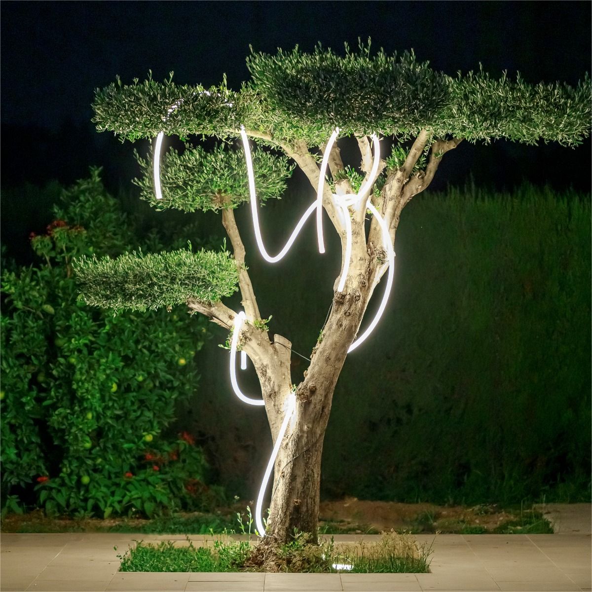 Girlanda LED NEO 3117