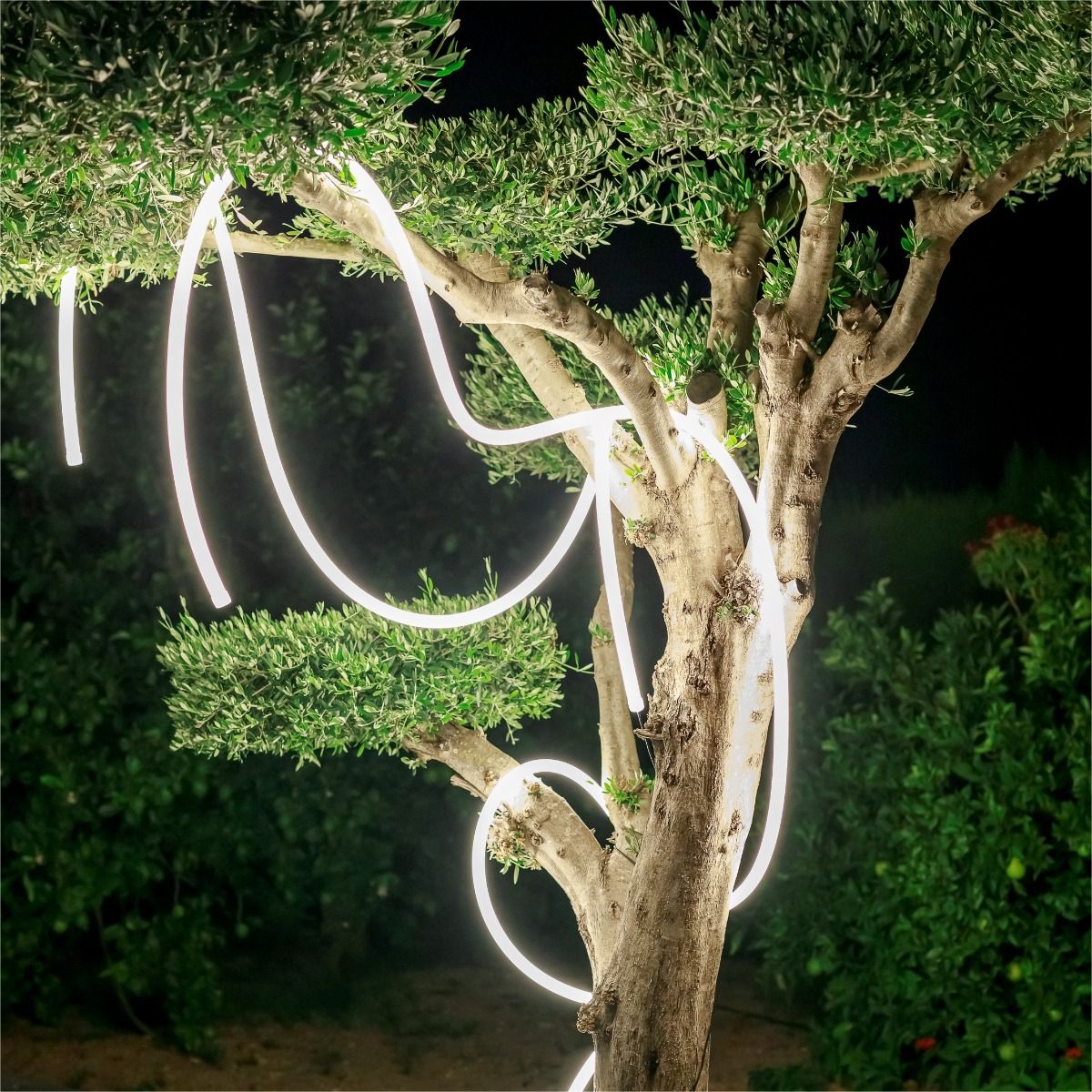 Girlanda LED NEO 3117