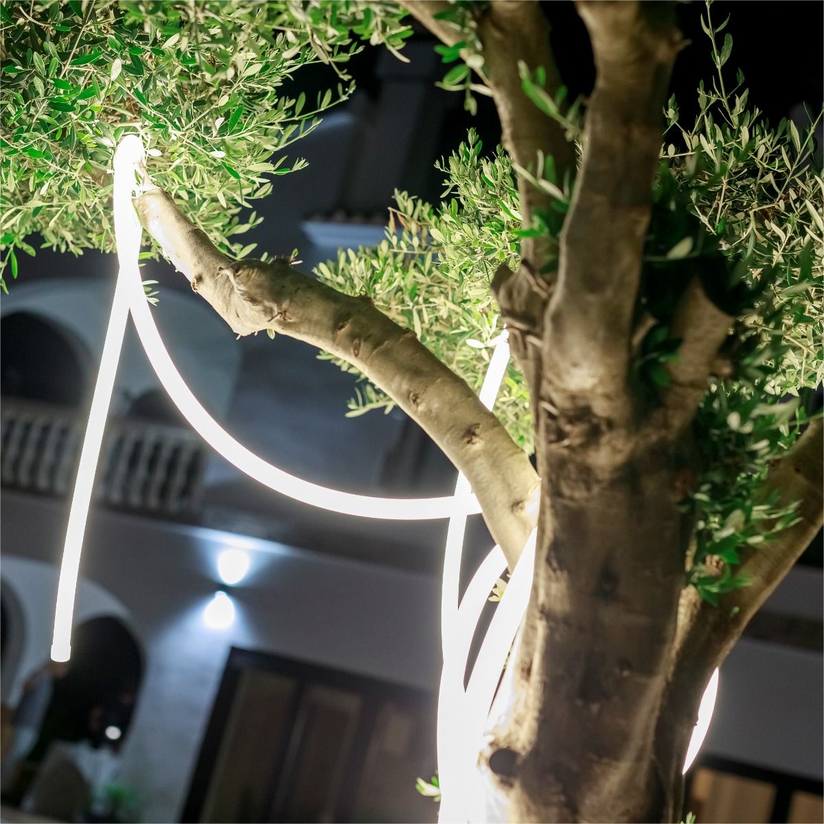 Girlanda LED NEO 3117