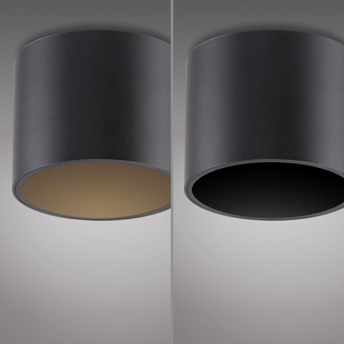 Lampa sufitowa PURE POINT 6761-18