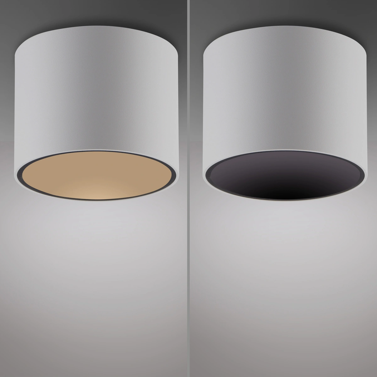 Lampa sufitowa PURE POINT 6761-16