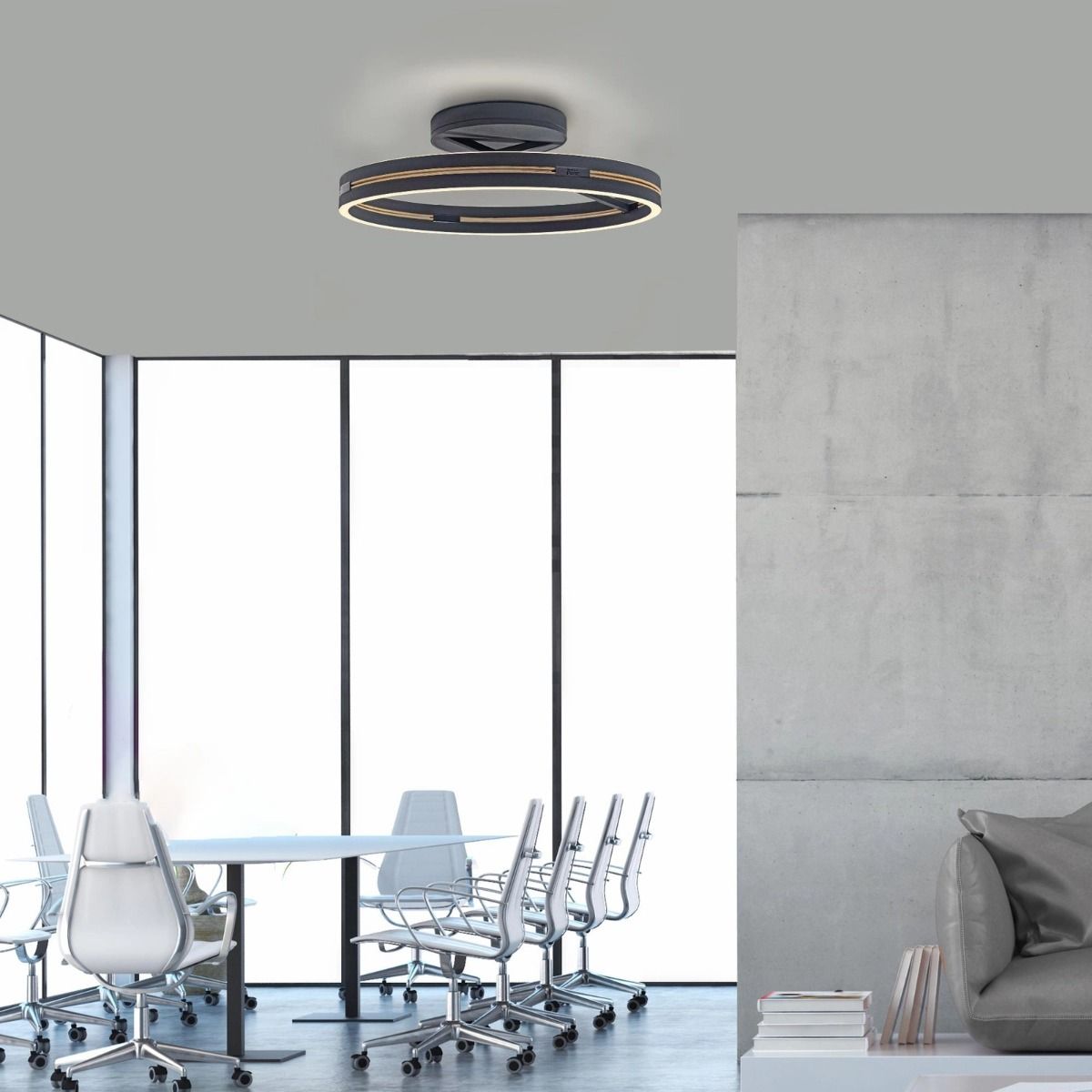Lampa sufitowa PURE E-LOOP 6552-18